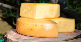 Stelvio cheese
