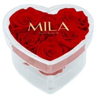 Mila Acrylic Small Heart