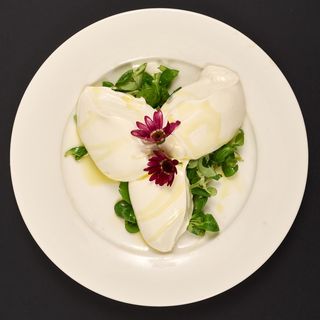 Mousse od kozijeg sira