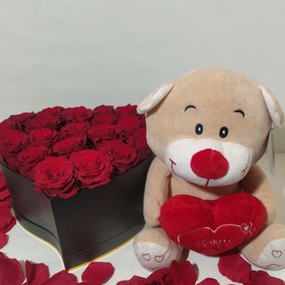 cuore 18 rose rosse con peluche M