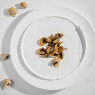 Грибы Шампиньоны