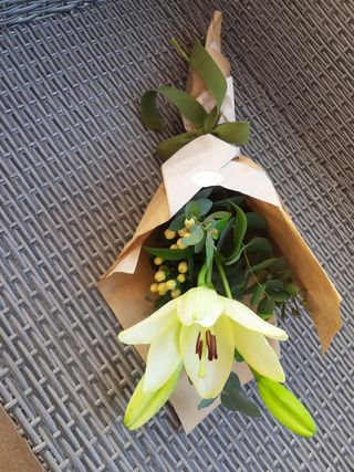 Obični ljiljan bijeli 1 kom.