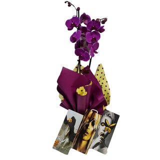 Orhidee cu tablou 3