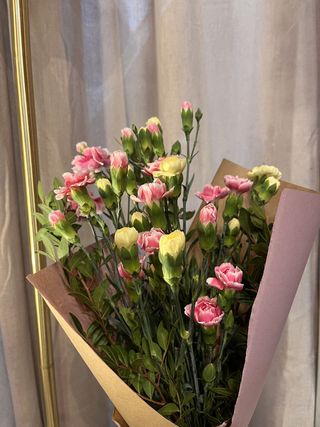 Ramillete Clavelinas