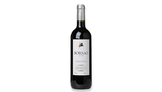 Vino Tinto Roble Coto de Hayas D.O Campo de Borja