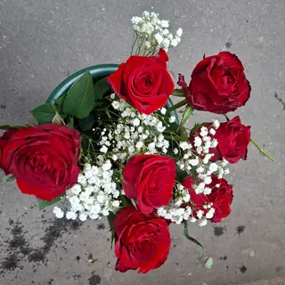 7.  Rosa  