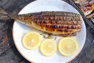 Скумбрия на мангале 