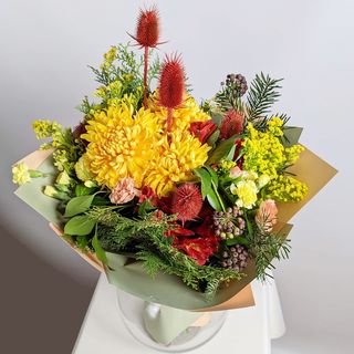 ყვითელი მზე 2267