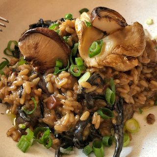 Risotto de setas