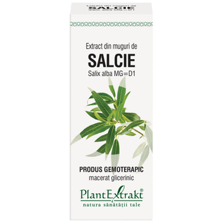 Extract din muguri de salcie (SALIX ALBA muguri)
