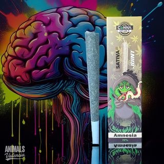 Preliado Amnesia 70% NL1 