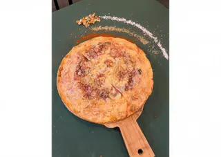FILO CARNÍVORA