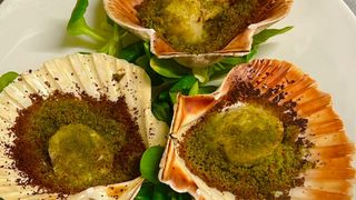 LE NOCI DI CAPESANTE GRATINATE CON PANURA AL VERDE 3 PZ.