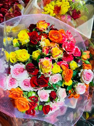 Rose ramipicante misto