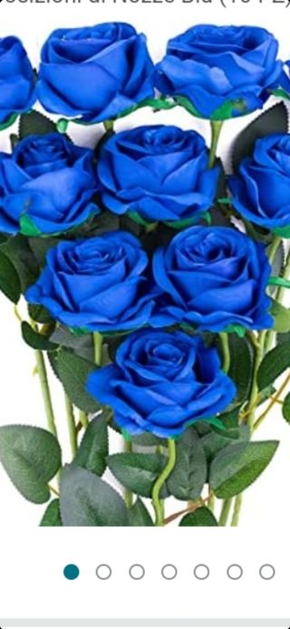 Rosa blue cada