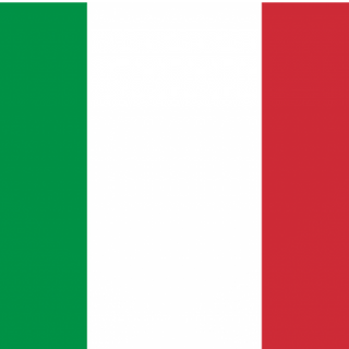 Pizza Prosciutto E Funghi (33 Cm.)