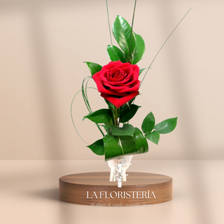 Rosa Roja Individual Arreglada