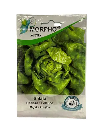 Salata Majska kraljica