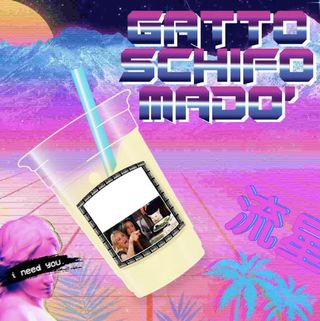 Gatto schifo madò special