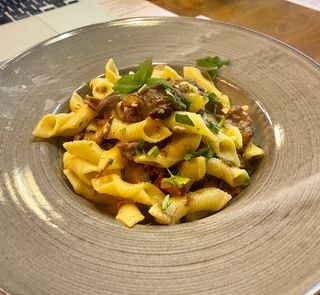 Garganelli z szarpaną wołowiną i sosem kurkowym