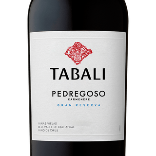 Tabali Pedregoso Gran Reserva Carmenere