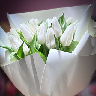 Букет з 25-ти білих голландських тюльпанів