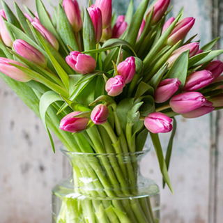 Bukiet tulipanów Barcelona 25