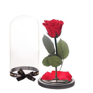 Cupola cu trandafir criogenat rosu