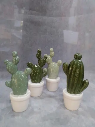 Piante di cactus in ceramica