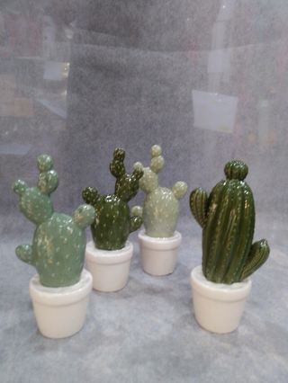 Piante di cactus in ceramica