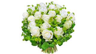 Kwiaty Białe Olśnienie