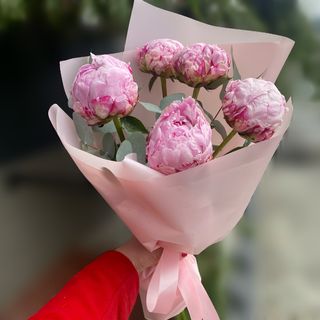 5 півоній з евкаліптом 