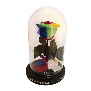 Cúpula De Cristal Con Rosa Eterna Multicolor