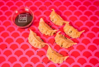 Gyoza veggy