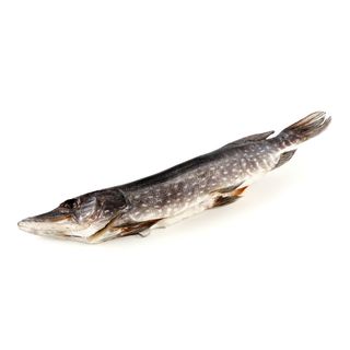 В'ялена Щука Потрошена(100грм)