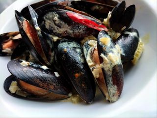 Małże w sosie śmietankowym