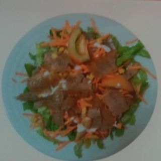 Plato con kebab carne o pollo ensalada 