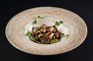 Борови Манатарки в масло