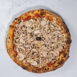 Funghi