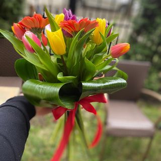 Buchet de primăvară, 11 lalele, 3 gerbera