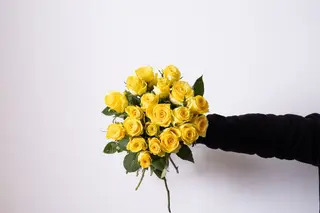 yellow