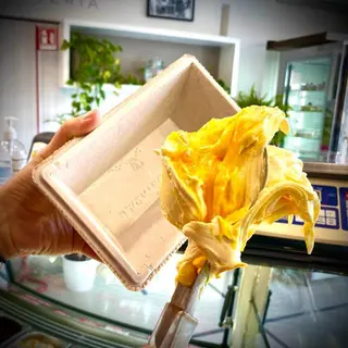 Vaschetta gelato 600 g