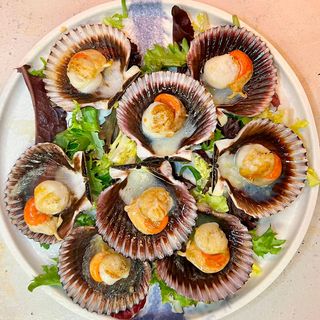 Zamburiña Grande (Unidad)