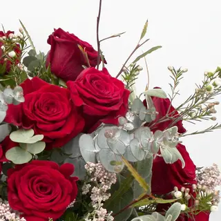 Ramo de 11 rosas rojas