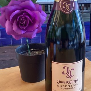 JUVÉ & CAMPS CINTA PÚRPURA RSVA