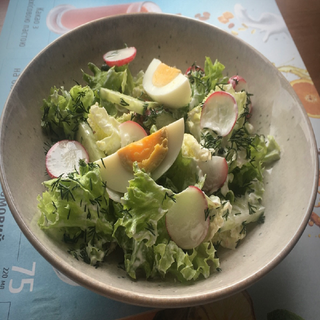 Салат дачний з сезонних овочів