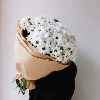 გვირილა M 
