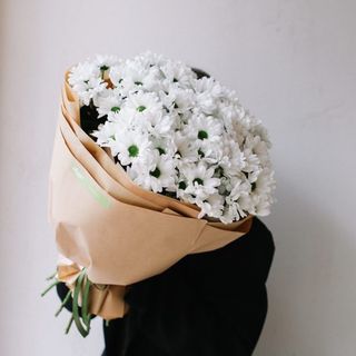 გვირილა M 