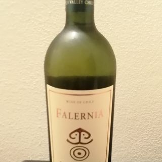 Falernia Sauvignon blanc del Cile 75 cl