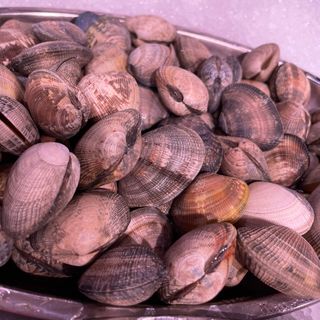 Almeja Mediana Gallega 250gr